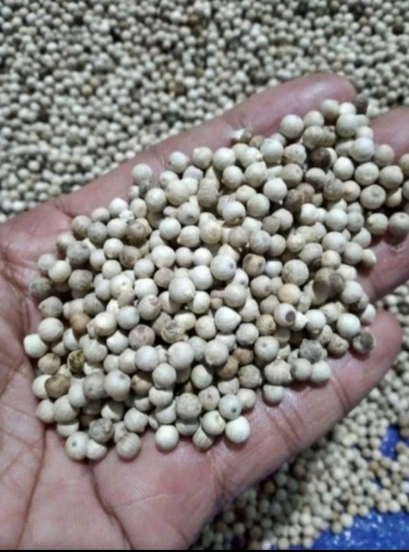 Koperasi Produsen Perwira Cipta Mandiri