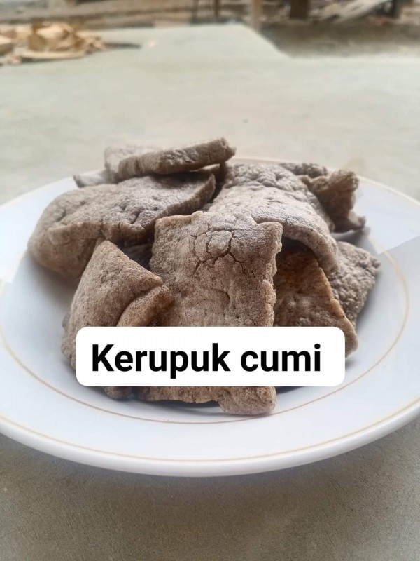 1putra2putri 