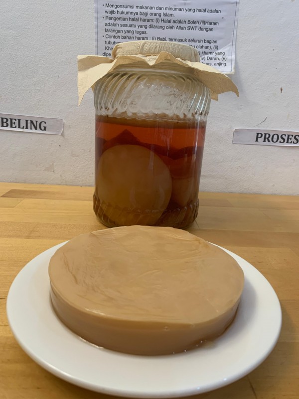 CV Gemilang Pratama / Kombucha RUMA