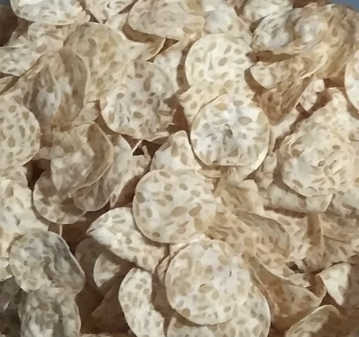 HIDAN SNACK
