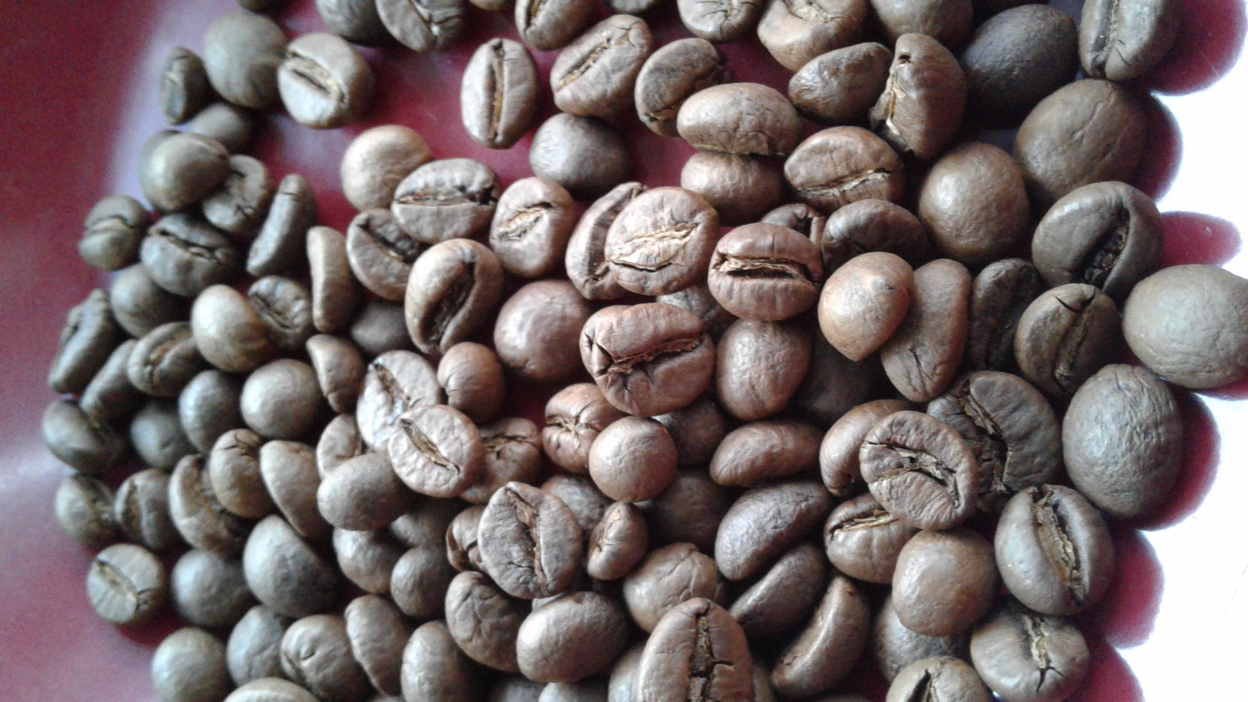 KupingKoe Coffee