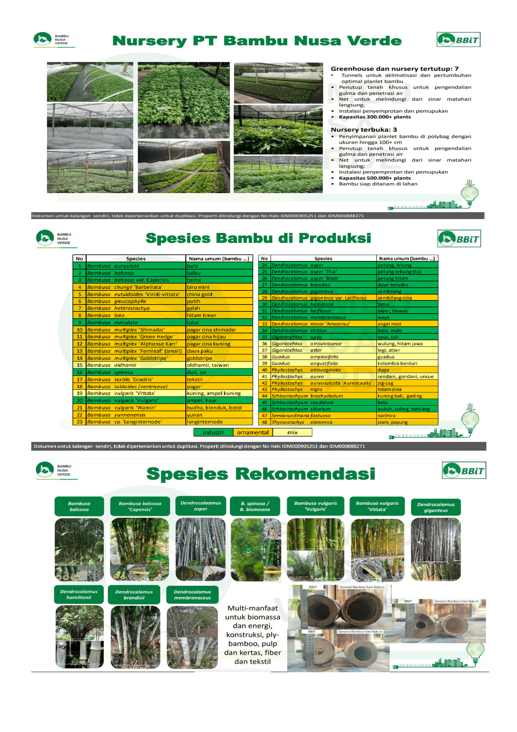 PT Bambu Nusa Verde