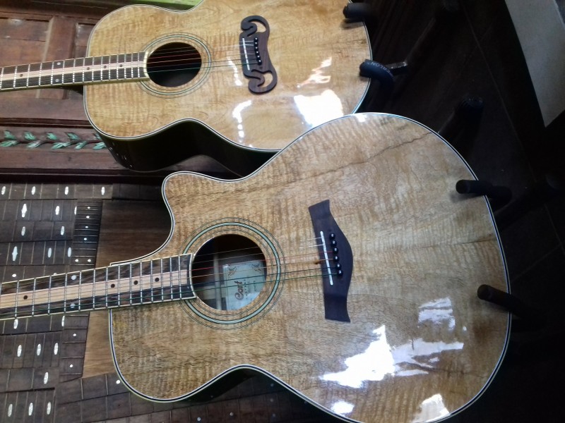 Bagas gitar
