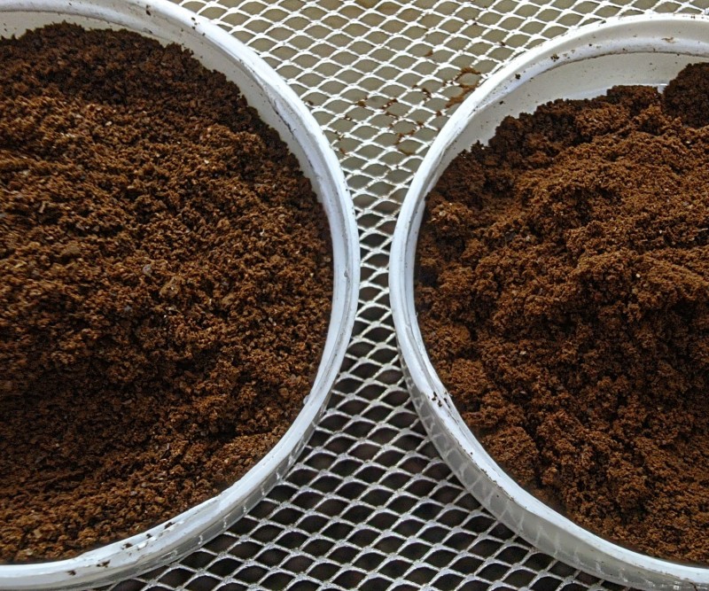 Sadagiri Kopi Nusantara