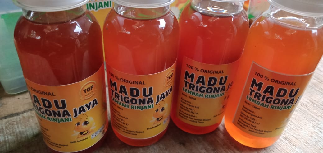 Madu Trigona 