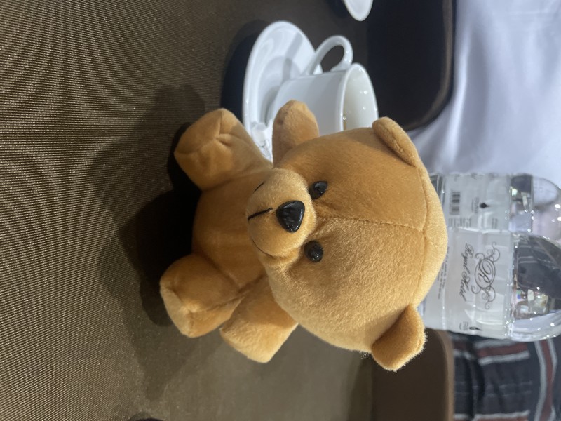 Boneka raisya