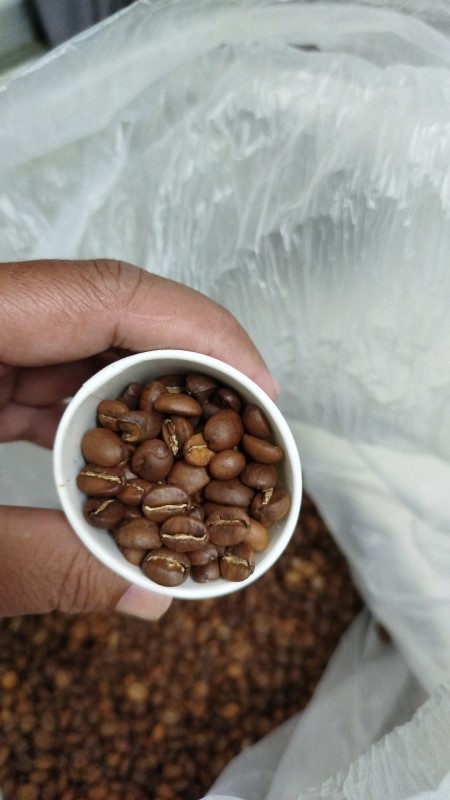 Bogor Coffee Catang Malang