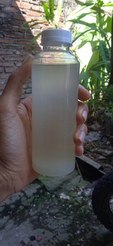 COCO GREEN FARM