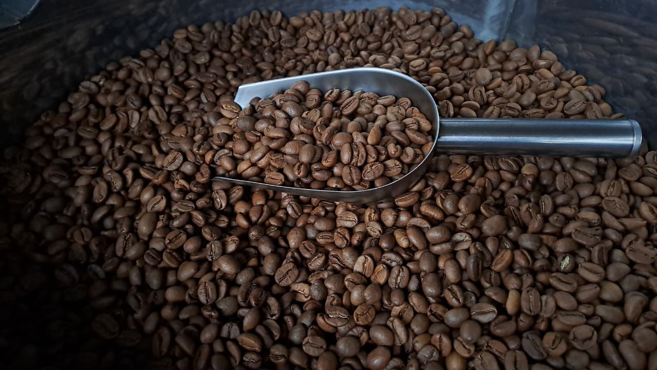 MICOFAM LOMBOK COFFEE