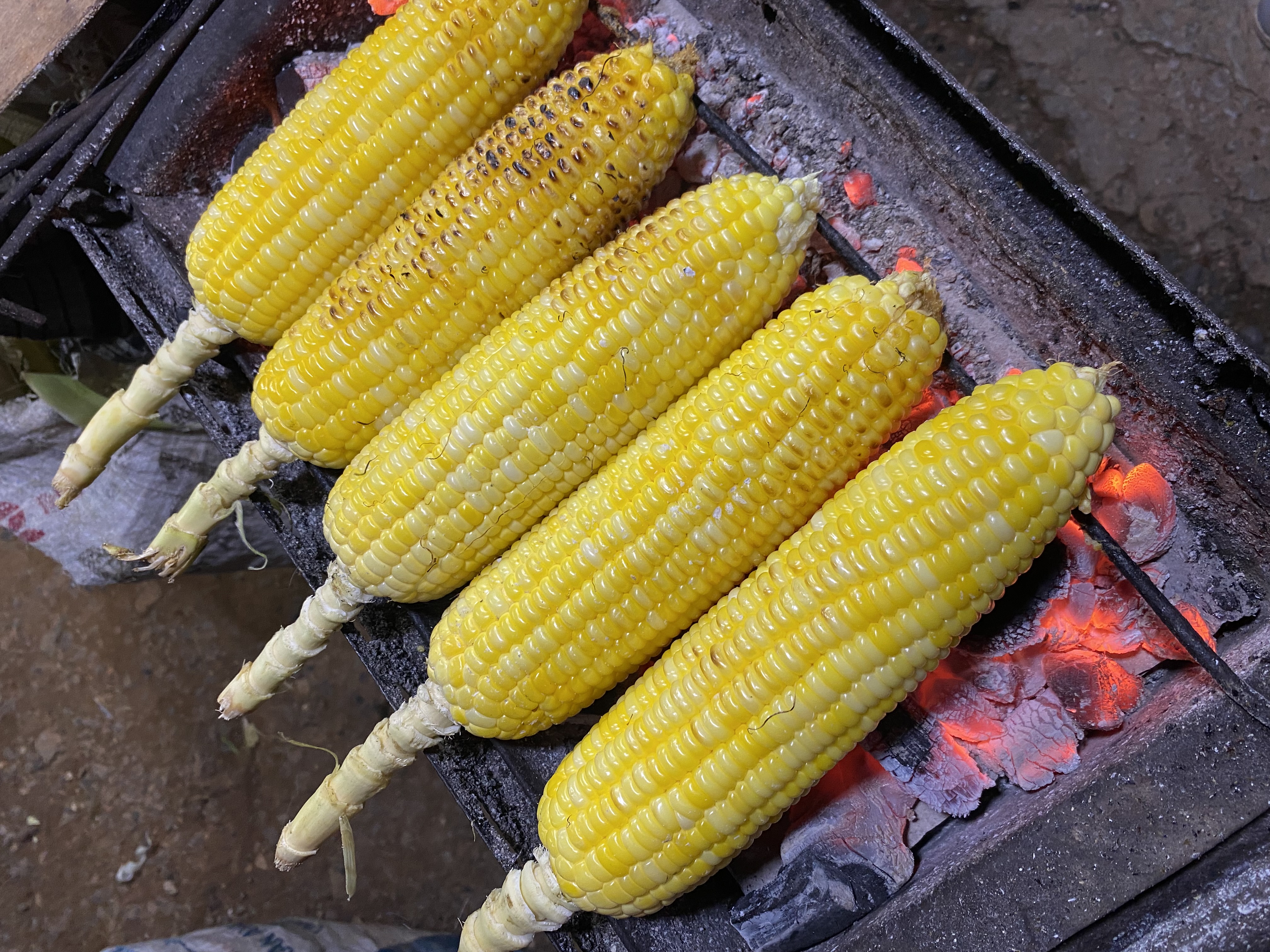 Jagung Bakar Manyala