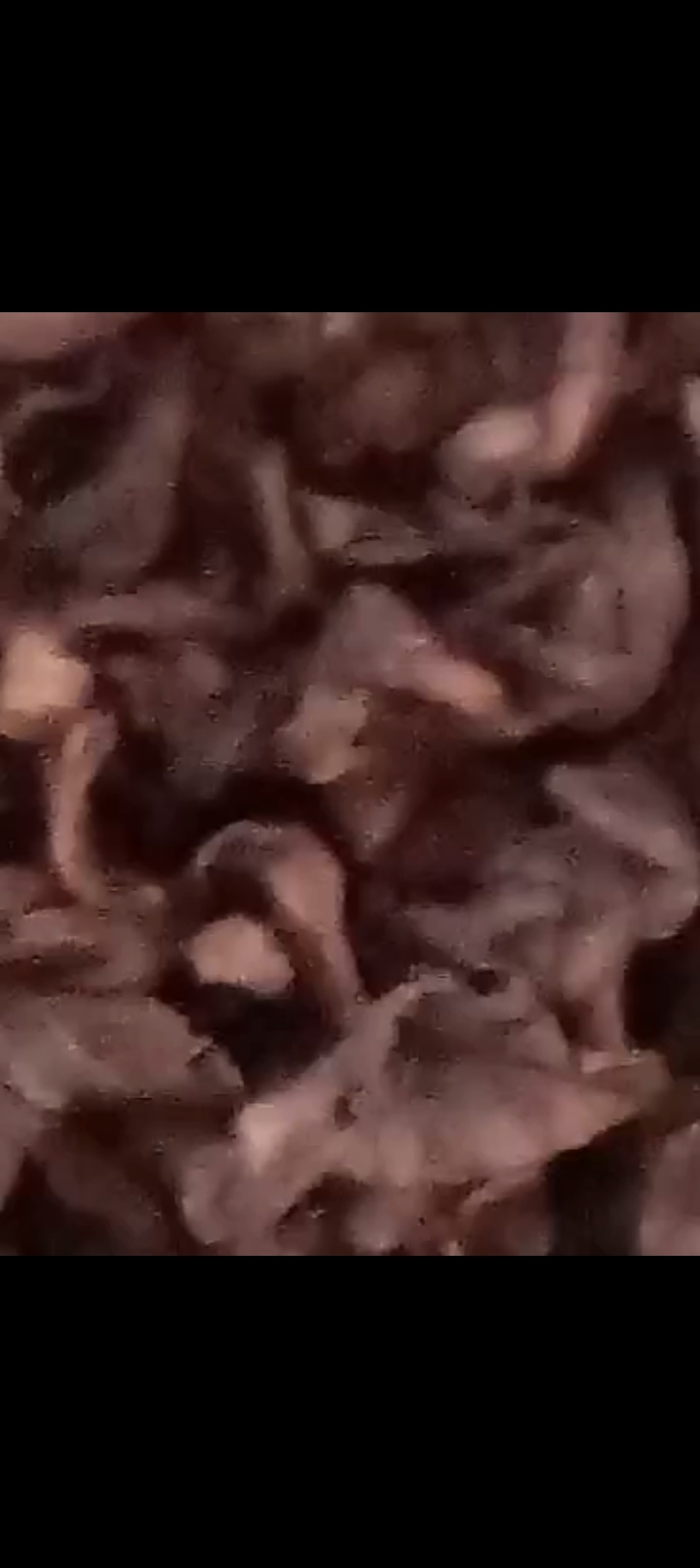Produk Keripik Al Husna 