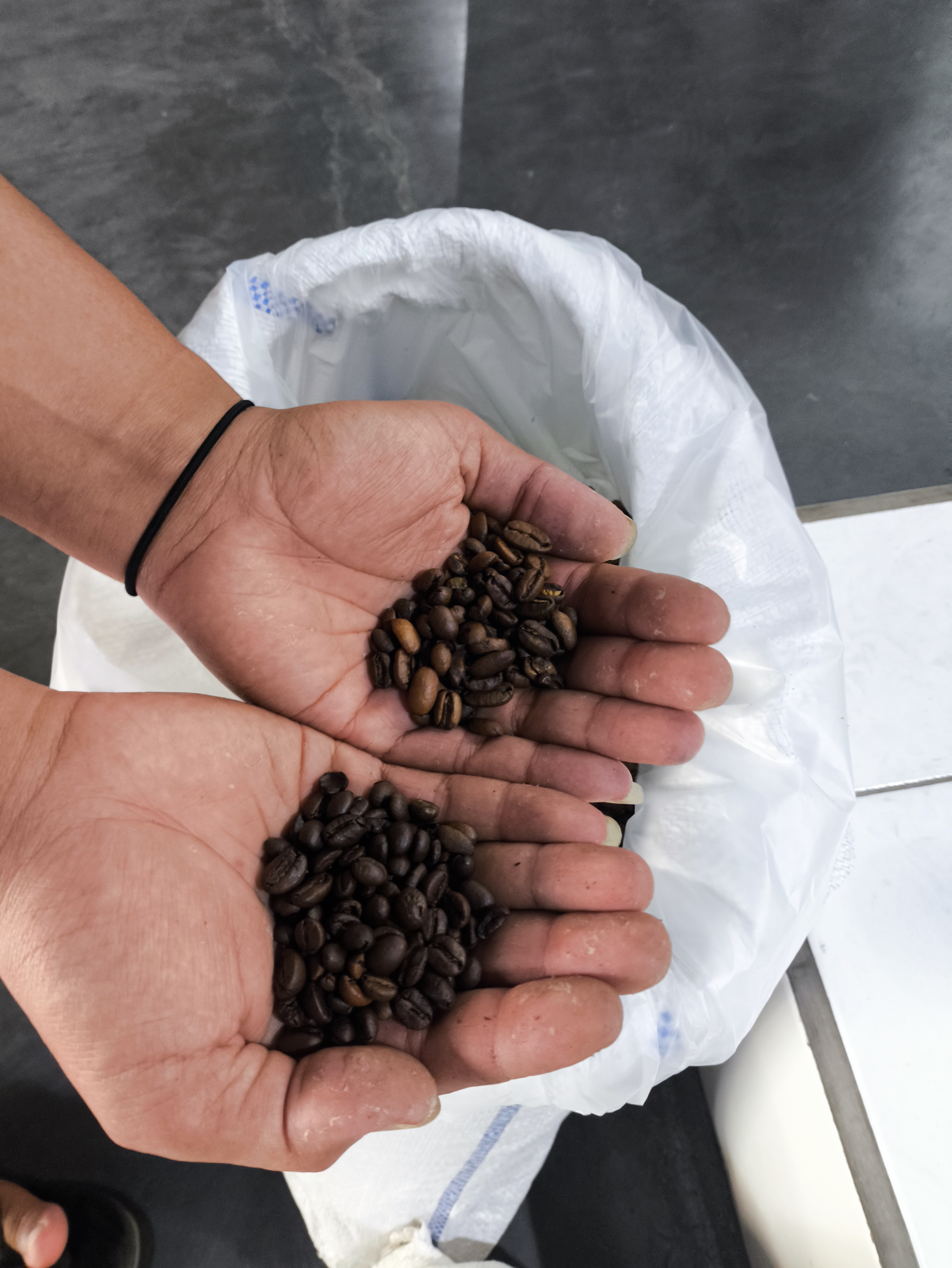 WANGI COFFEE NUSANTARA