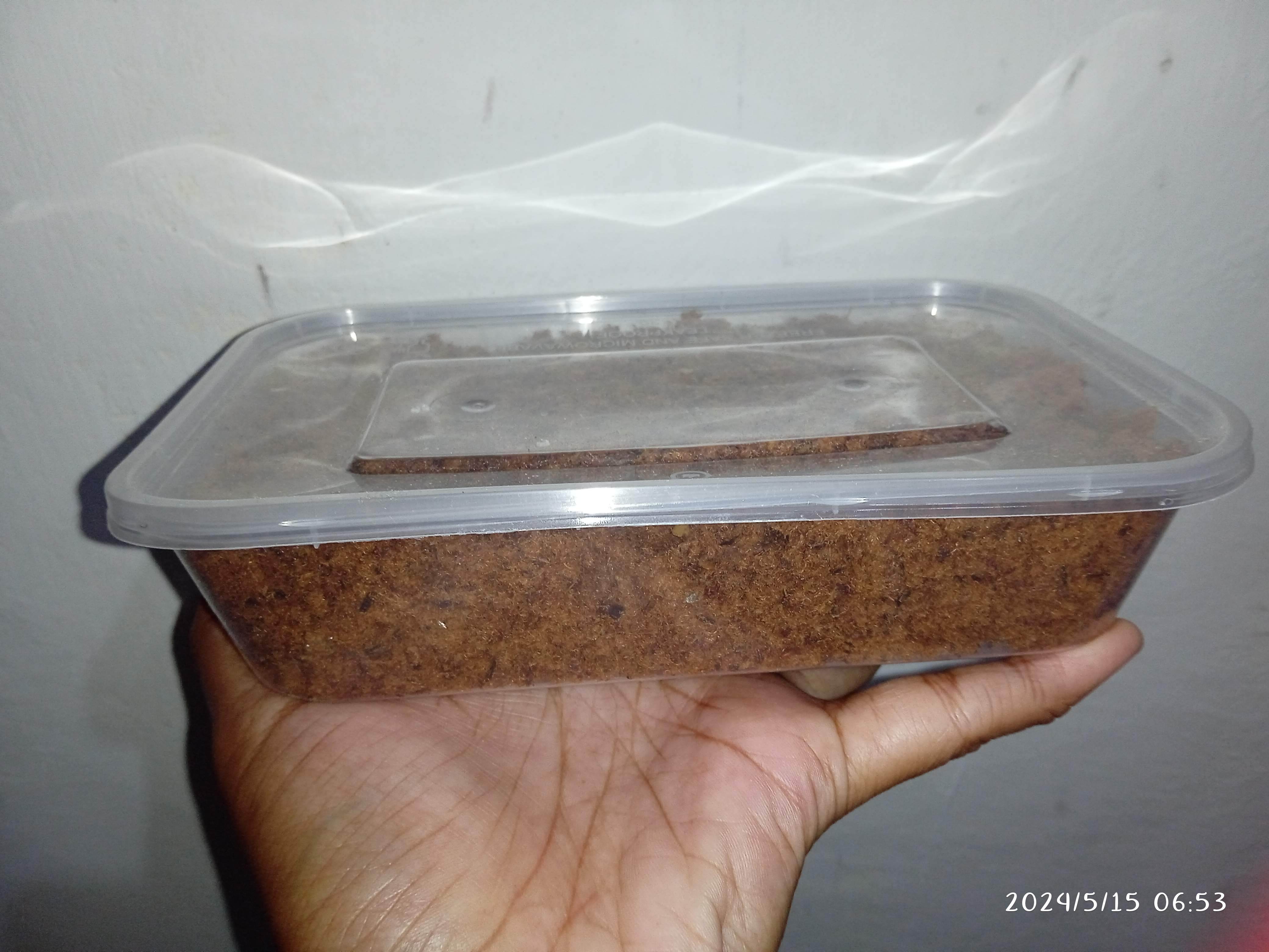 Kandoq Lombok Pawon Emmy