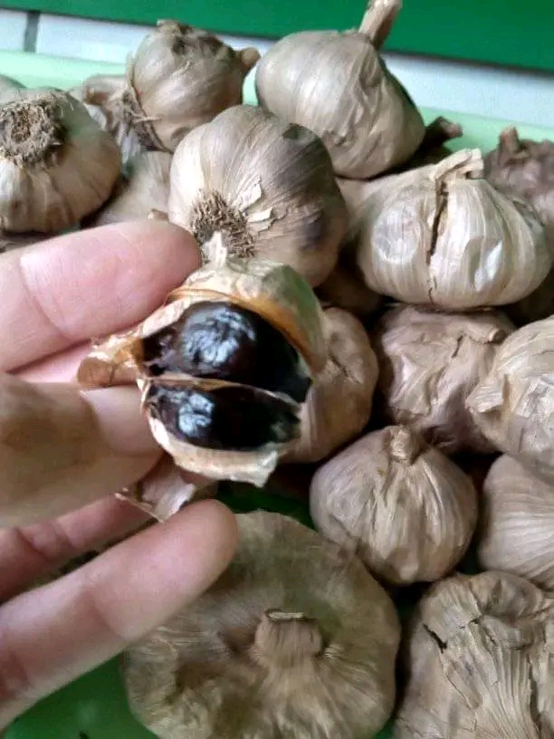 Keluarga Cemara