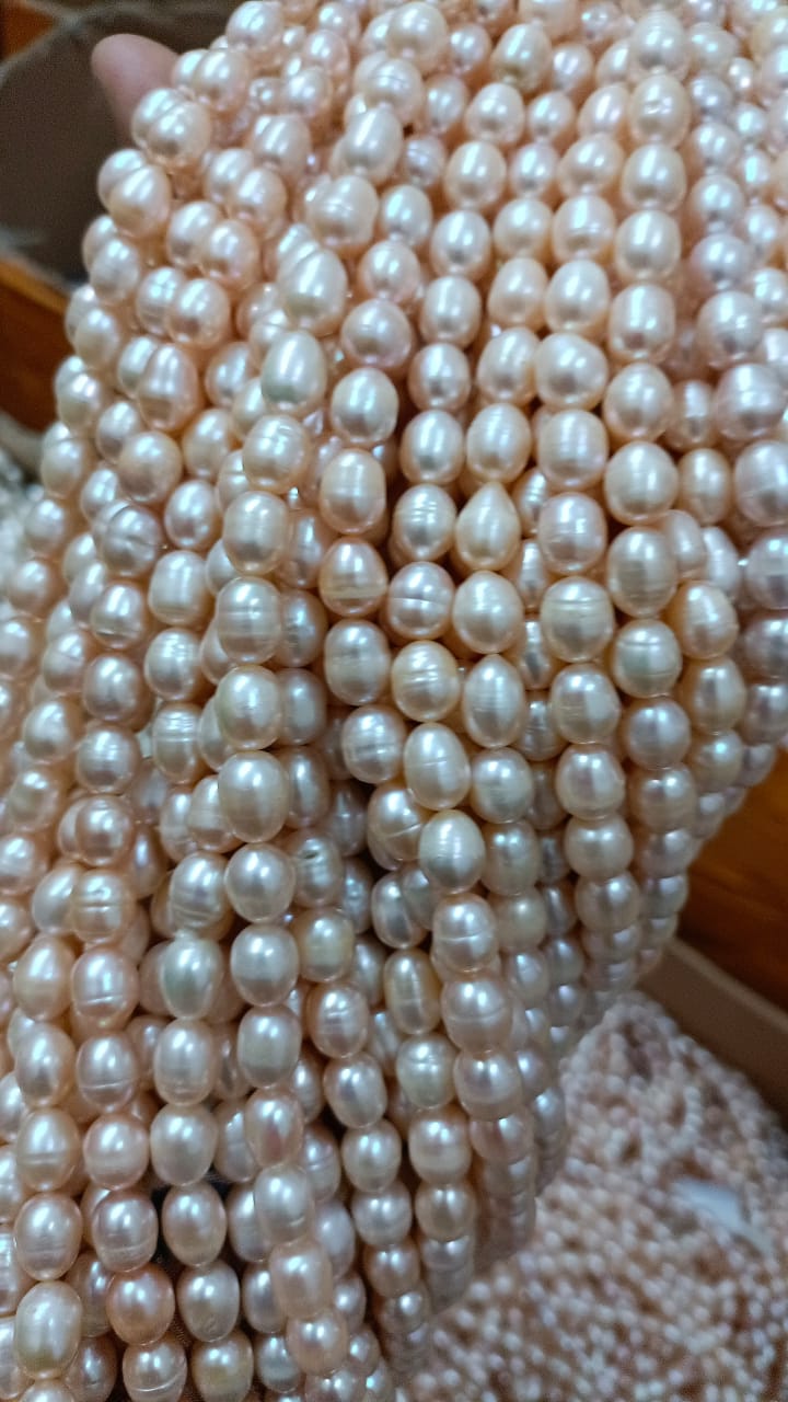 Insani jewelry Pearl