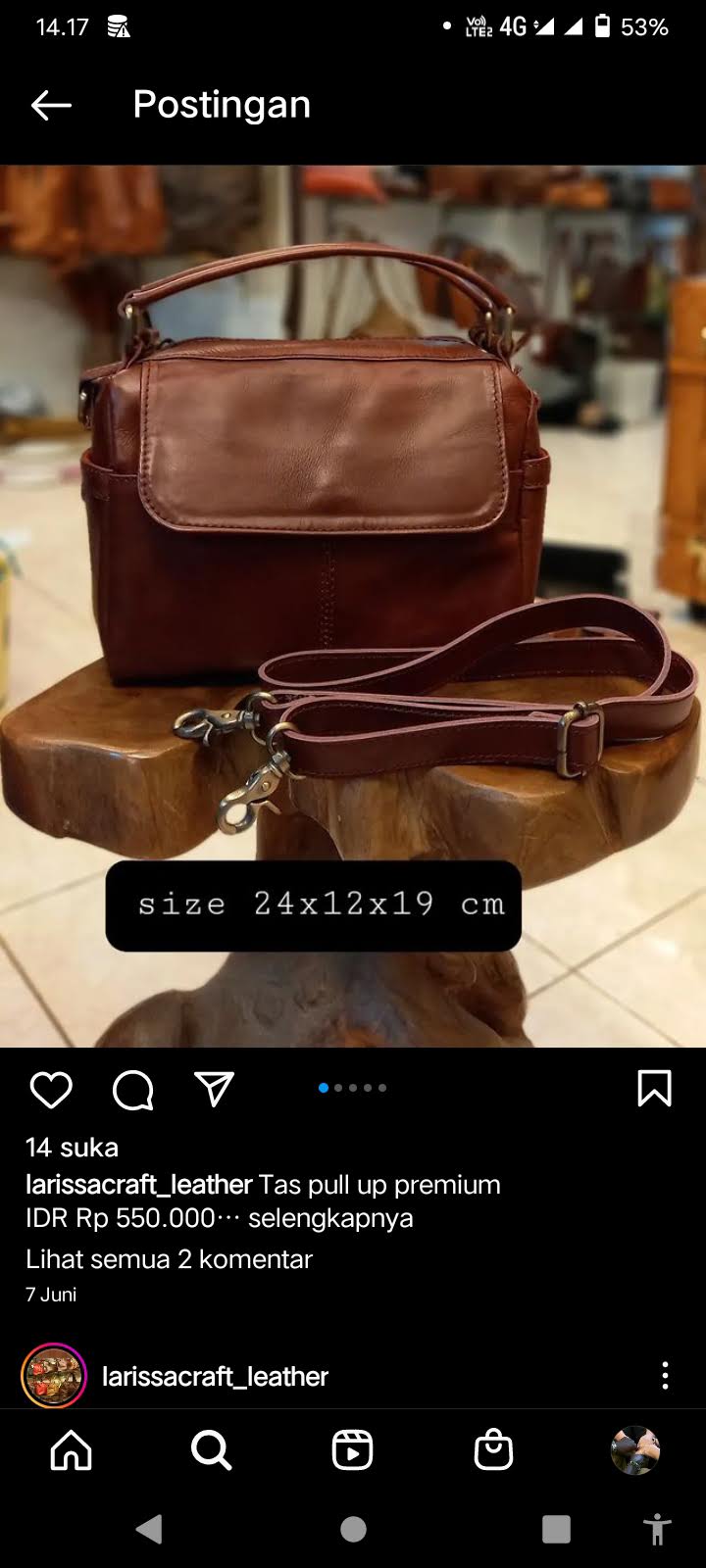 LarissaCraft